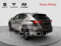 2020 Lexus NX300