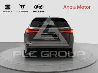 2020 Lexus NX300