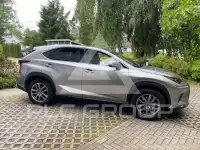 2020 Lexus NX300