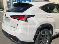2020 Lexus NX300