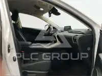 2020 Lexus NX300
