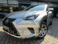 2020 Lexus NX300
