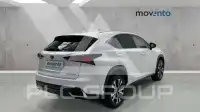 2020 Lexus NX300