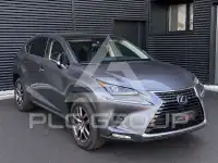 2020 Lexus NX300