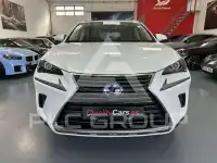 2020 Lexus NX300