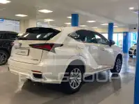 2020 Lexus NX300
