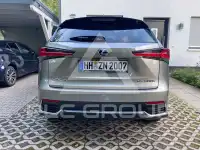 2020 Lexus NX300