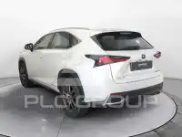 2020 Lexus NX300