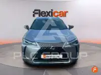 2020 Lexus UX250