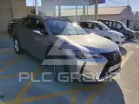 2020 Lexus UX250