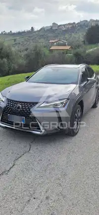 2020 Lexus UX250