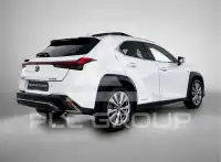 2020 Lexus UX250