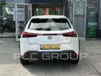 2020 Lexus UX250