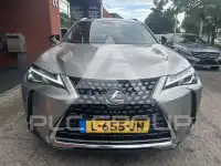 2020 Lexus UX250