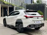 2020 Lexus UX250