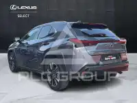 2020 Lexus UX250