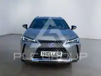 2020 Lexus UX250