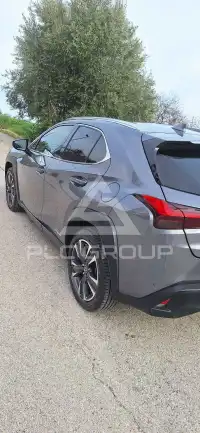 2020 Lexus UX250
