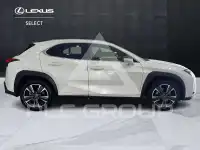 2020 Lexus UX250