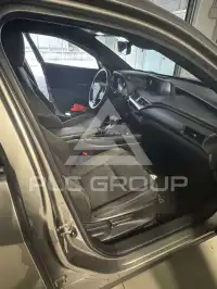 2020 Lexus UX250