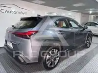 2020 Lexus UX250