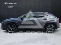 2020 Lexus UX250