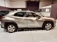 2020 Lexus UX250