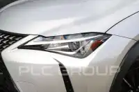 2020 Lexus UX250