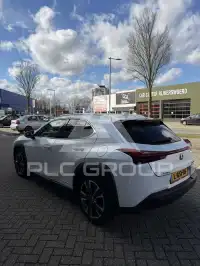 2020 Lexus UX250