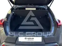 2020 Lexus UX250