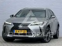 2020 Lexus UX250