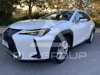 2020 Lexus UX250