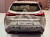 2020 Lexus UX250