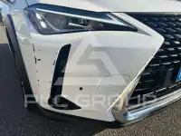 2020 Lexus UX250
