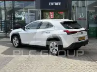 2020 Lexus UX250