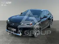 2020 Lexus UX250