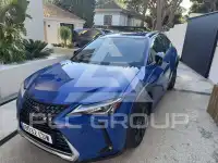 2020 Lexus UX250