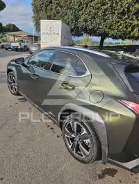 2020 Lexus UX250