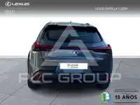 2020 Lexus UX250