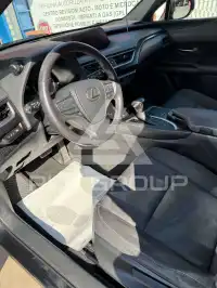 2020 Lexus UX250