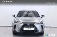 2020 Lexus UX250