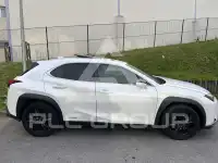 2020 Lexus UX250