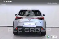 2020 Lexus UX250