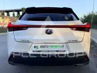 2020 Lexus UX250