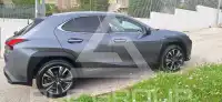 2020 Lexus UX250