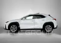2020 Lexus UX250