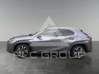 2020 Lexus UX250