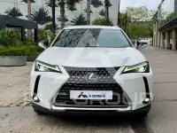 2020 Lexus UX250