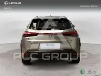 2020 Lexus UX250