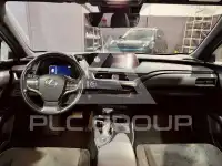 2020 Lexus UX250